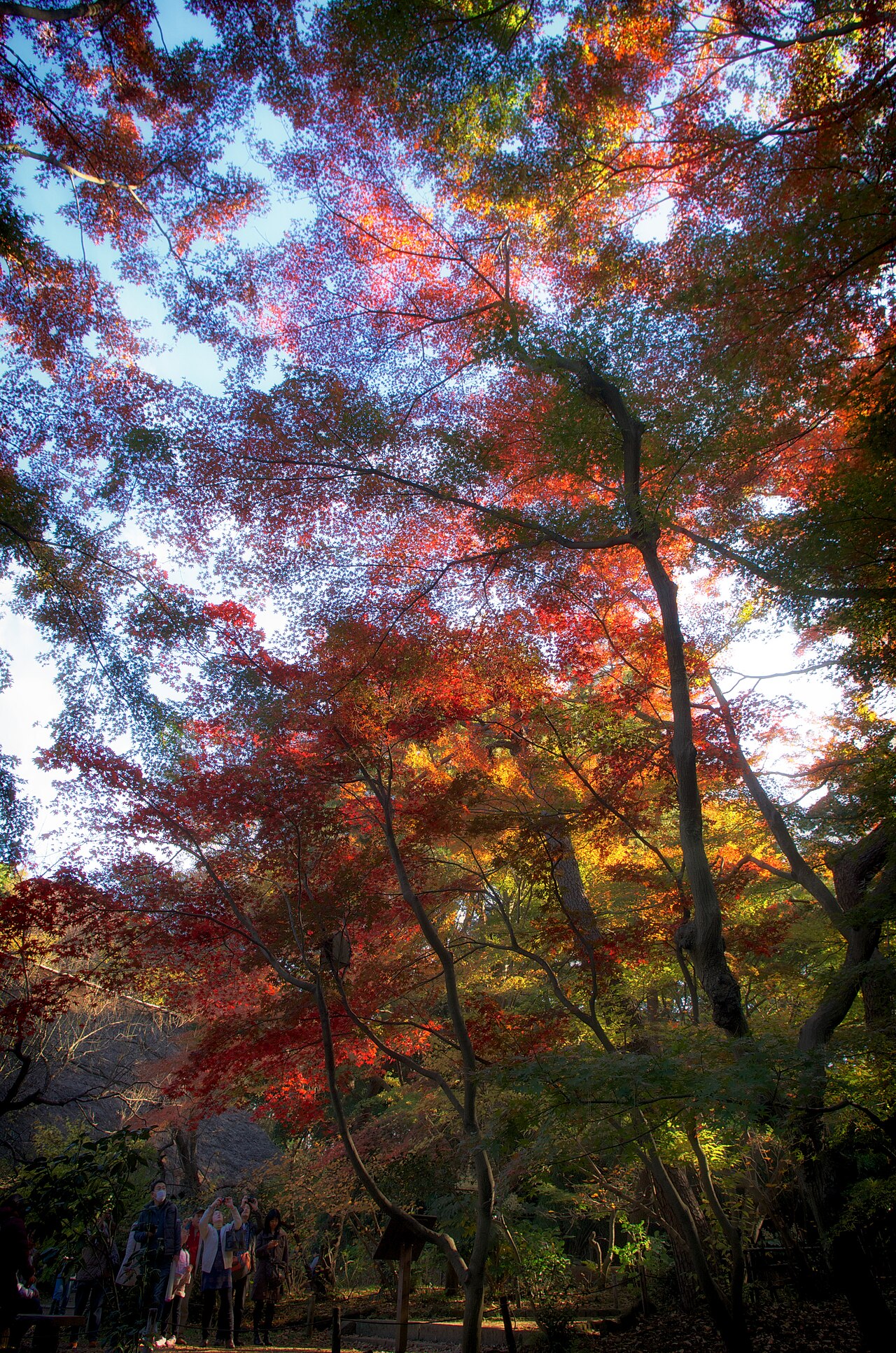 三溪園