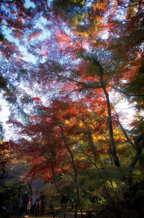 Sankeien Garden