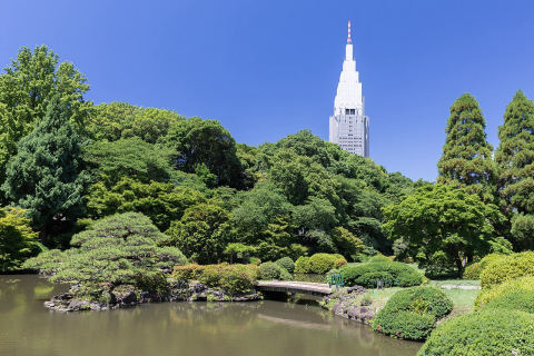 Shinjuku Gyoen National Garden