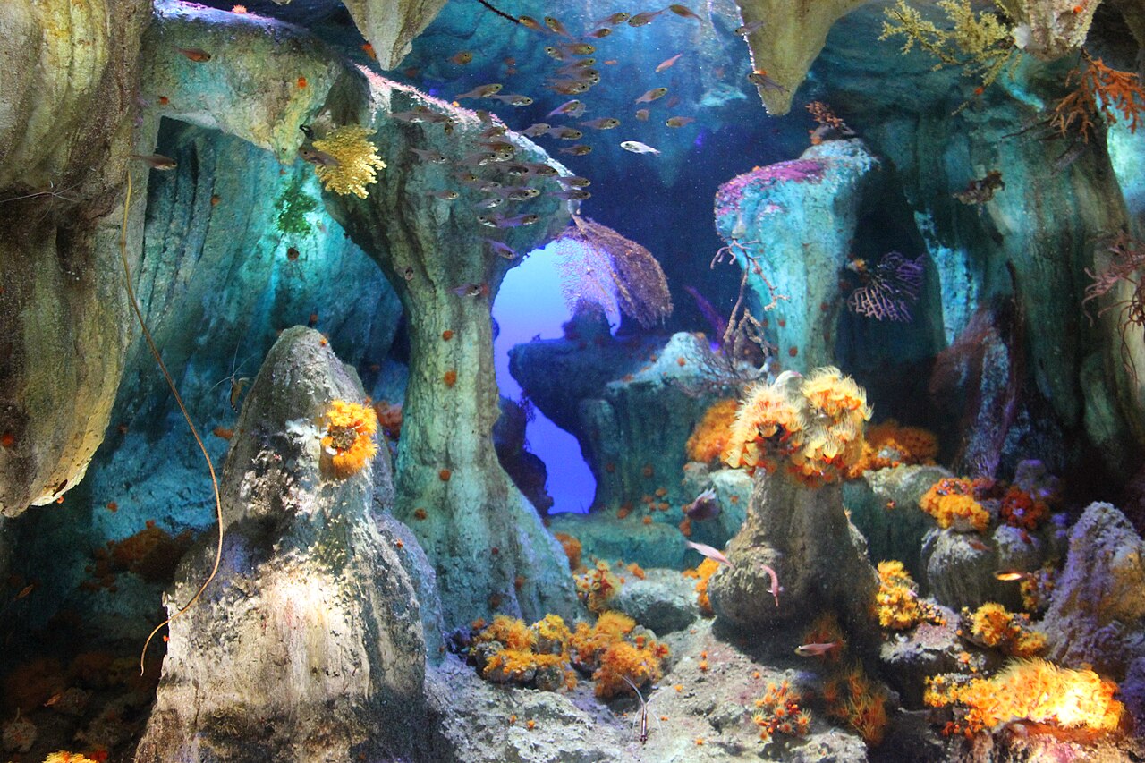 Sunshine Aquarium