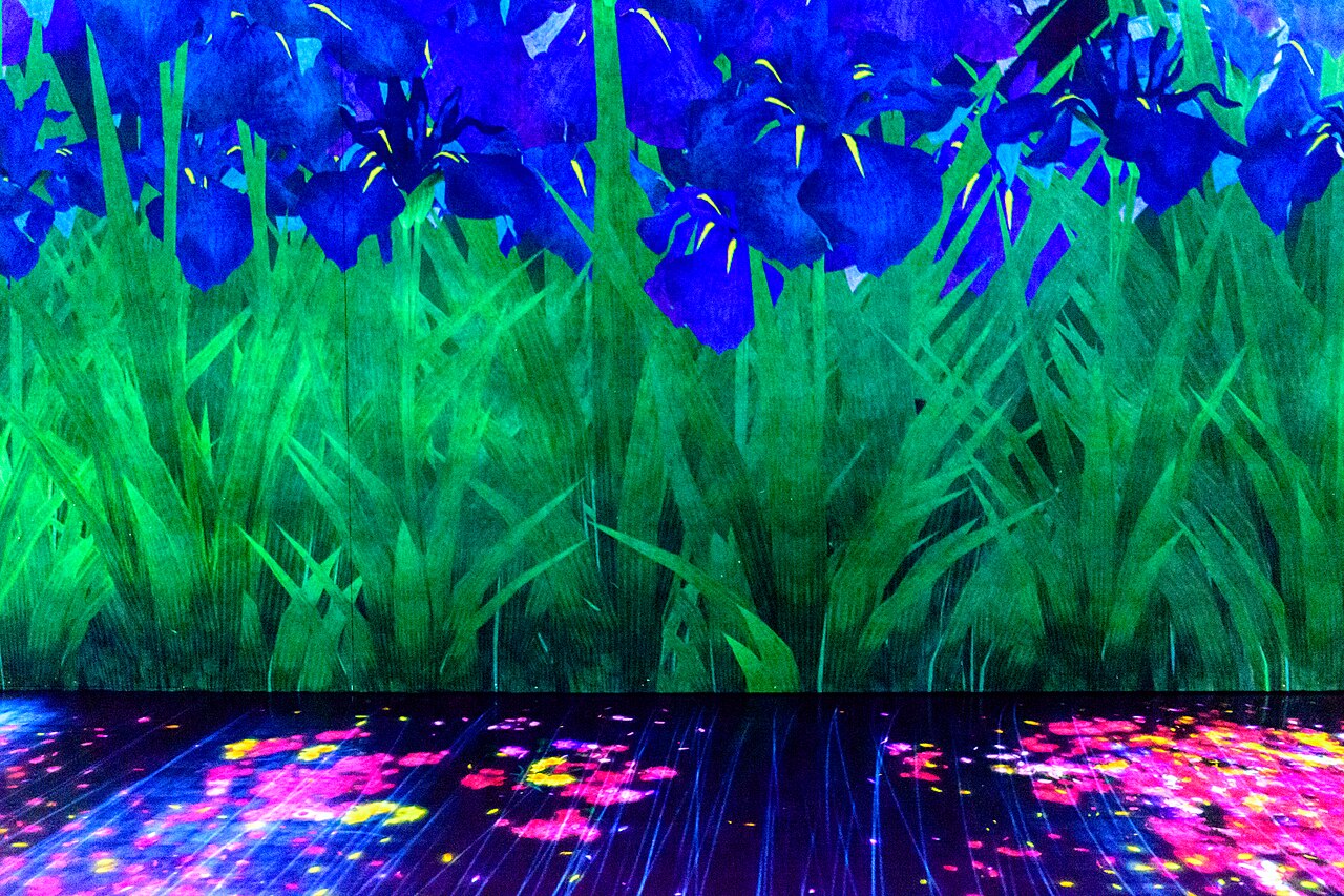 teamLab Borderless