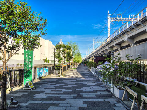 Tokyo Mizumachi